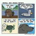 animal instincts