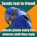 paranoid texter