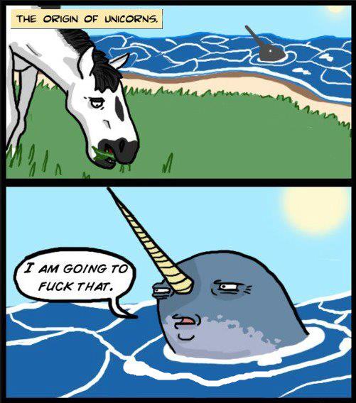 how unicorns were made - meme