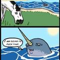how unicorns were made