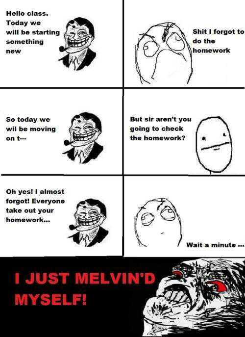 Le Melvin'D - meme