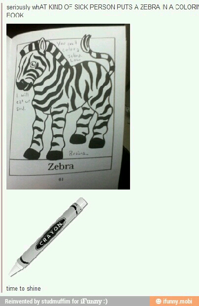 zebra - meme
