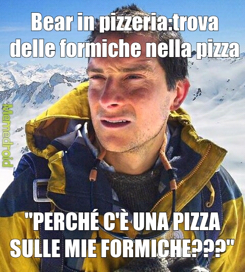 Bear in pizzeria - meme