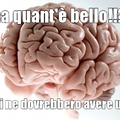 il cervello