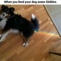 taste the shitty rainbow