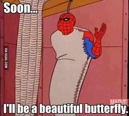Butterfly - meme