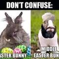 we have crusader bunnies too
