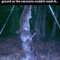 Rocket Racoon and his family 