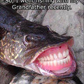 imagine getting a blowjob from this fish yo 