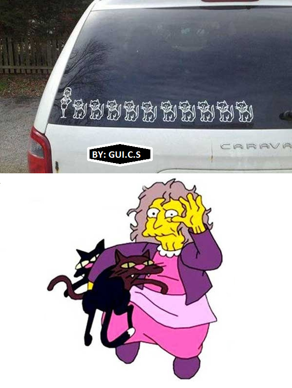 LOUCA DOS GATOS - meme