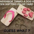 commented item thumbnail
