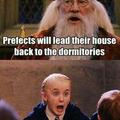 Dumbledore clearly does not give a fuck