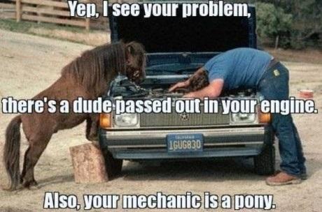 Stupid Pony mechanics can't do anything - meme