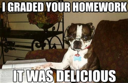 I swear to god my dog ate my homework!!!! - meme