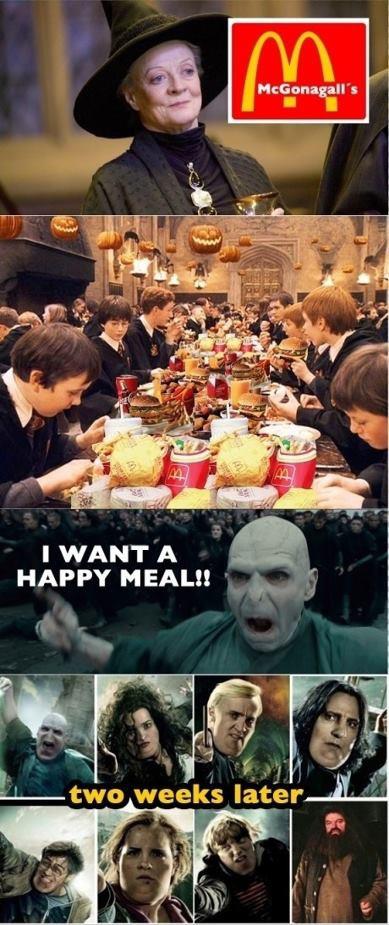 Harry Potter And The Obese Hollows - meme