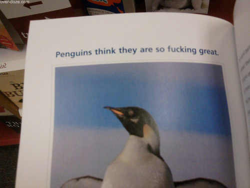 Fucking penguins - meme