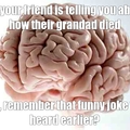 F**k you brain