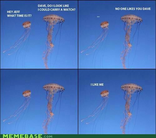 jellyfish :D - meme