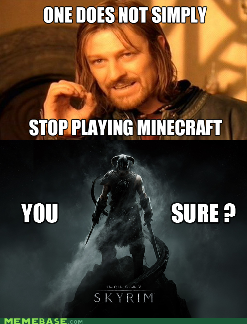 skyrim or minecraft? - meme