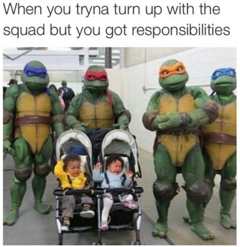Favorite Ninja Turtle ? - meme