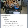 Someone get that tiger off the damn counter
