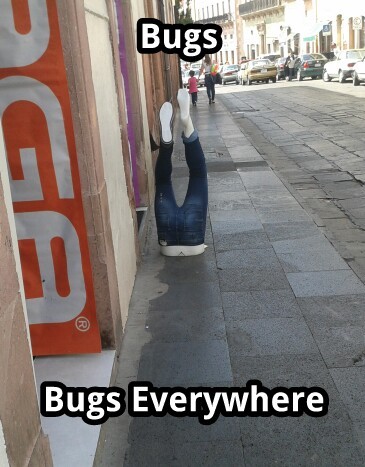Bugs!! - meme