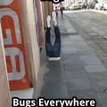 Bugs!!