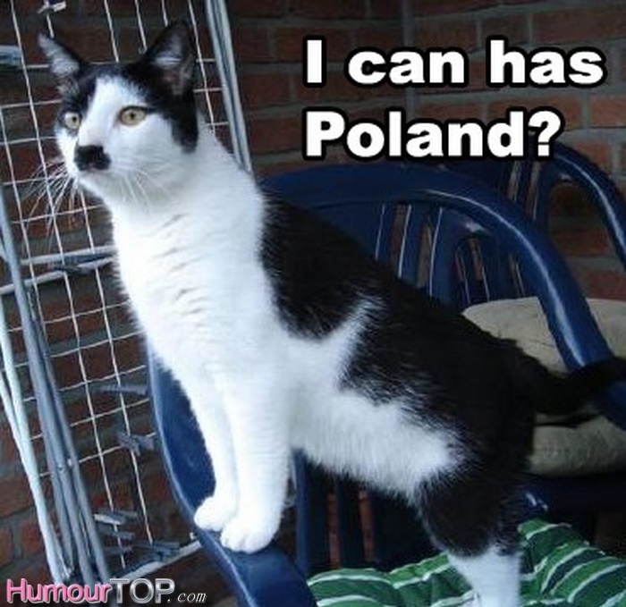 Je peux avoir la Pologne? - meme