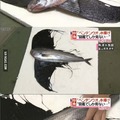 Weird lookimg fish found im Japan.
