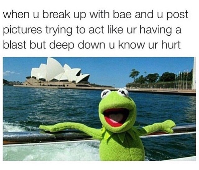 Kermit has feels too - meme