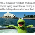 Kermit has feels too