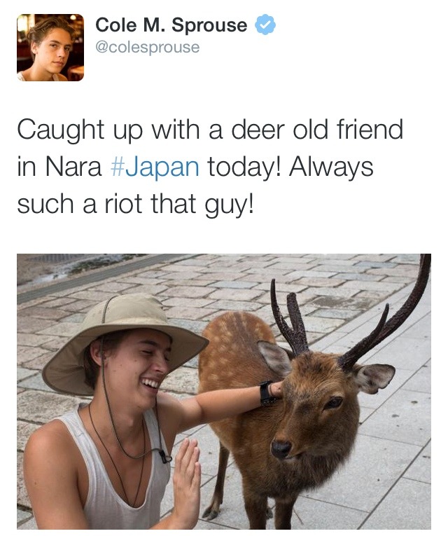 Oh deer - meme