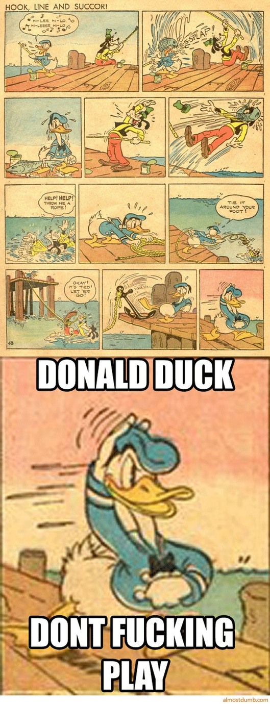 dongs in a duck - meme