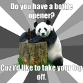 bottle opener panda