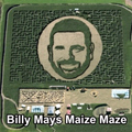 billy mays maize maze