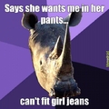 Sexually oblivious rhino