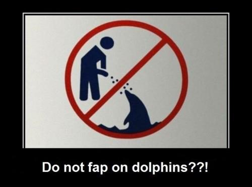 Do not fap on dolphins - meme
