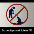 Do not fap on dolphins