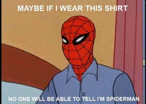 Stupid Spiderman - meme