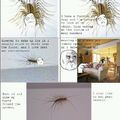 Bug Rage