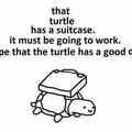 That's a good turtle c: