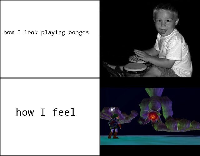 bongo bongo - meme