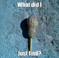 Peanut toothpick