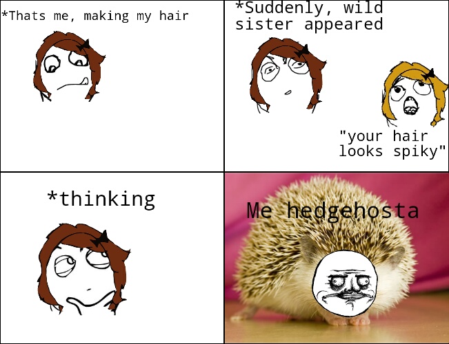 hedgehog - meme