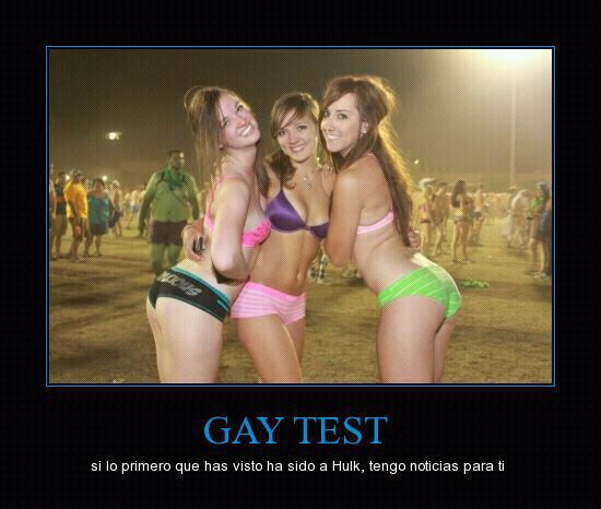 gay test - meme