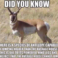 The more you know...