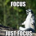 just focus