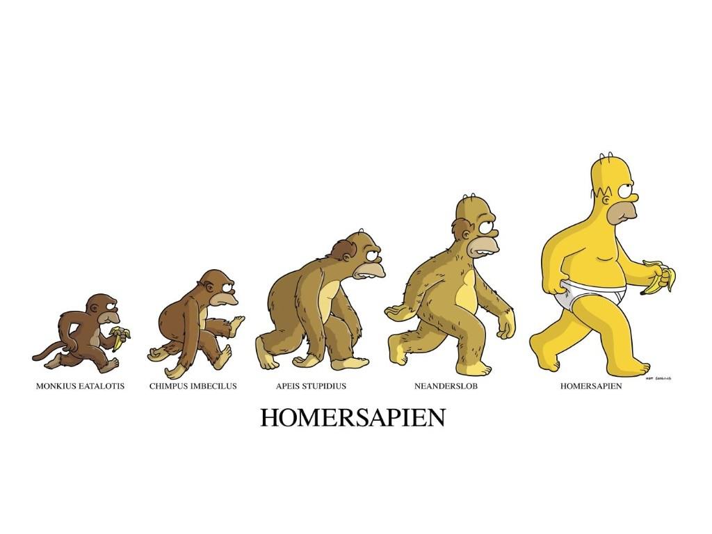 Evolución a lo Homero n.n - meme