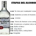 etapas del alcohol