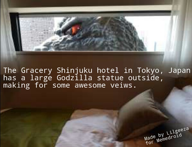 Godzilla hotel... - meme